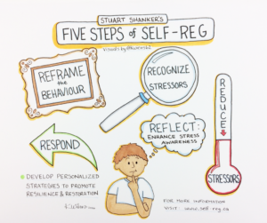 steps of self-reg