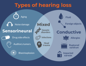 several causes of hearing loss